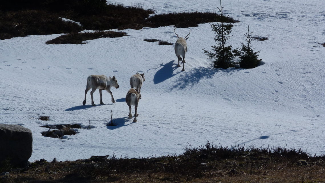 La magie des reliefs : Du 5 au 14 avril (Bergen > Molde)